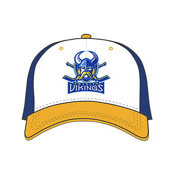 Swedish Vikings Curved Snapback keps