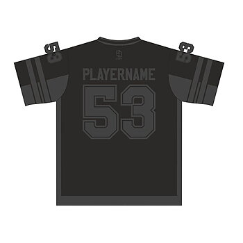 Swedish Vikings Basic t-shirt Limited Edition