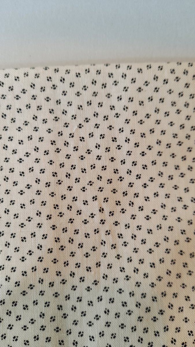 Patterned cotton fabric