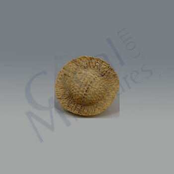 Straw hat,