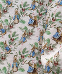 Peter Holly- fabric from Les Chinoiseries