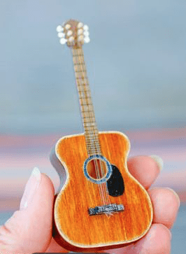 Guitar building kit