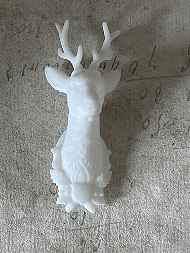 Deer Head Hunting trophy unpainted  from Alison Davies