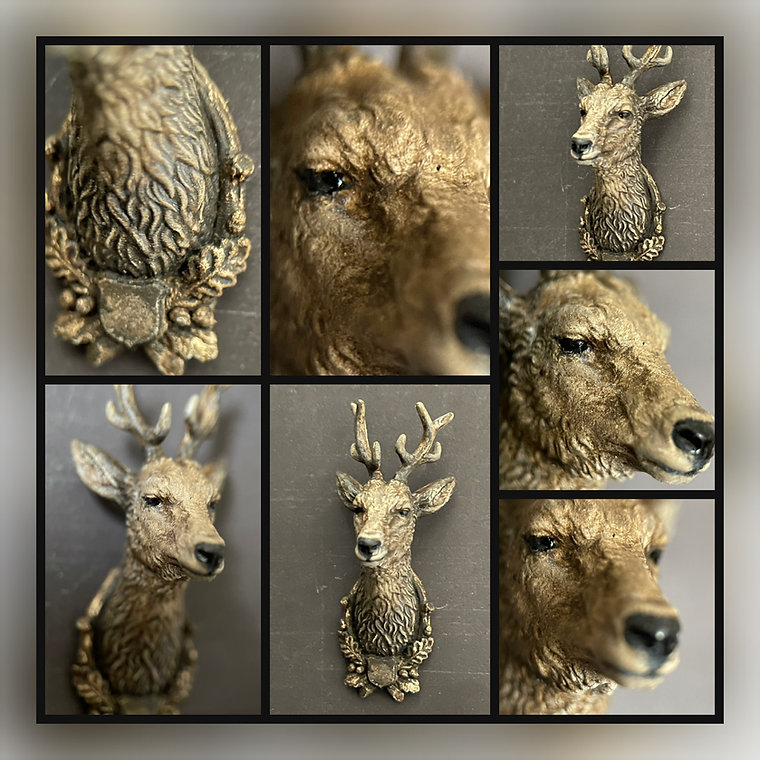 Deer Head Hunting trophy unpainted  from Alison Davies - 2