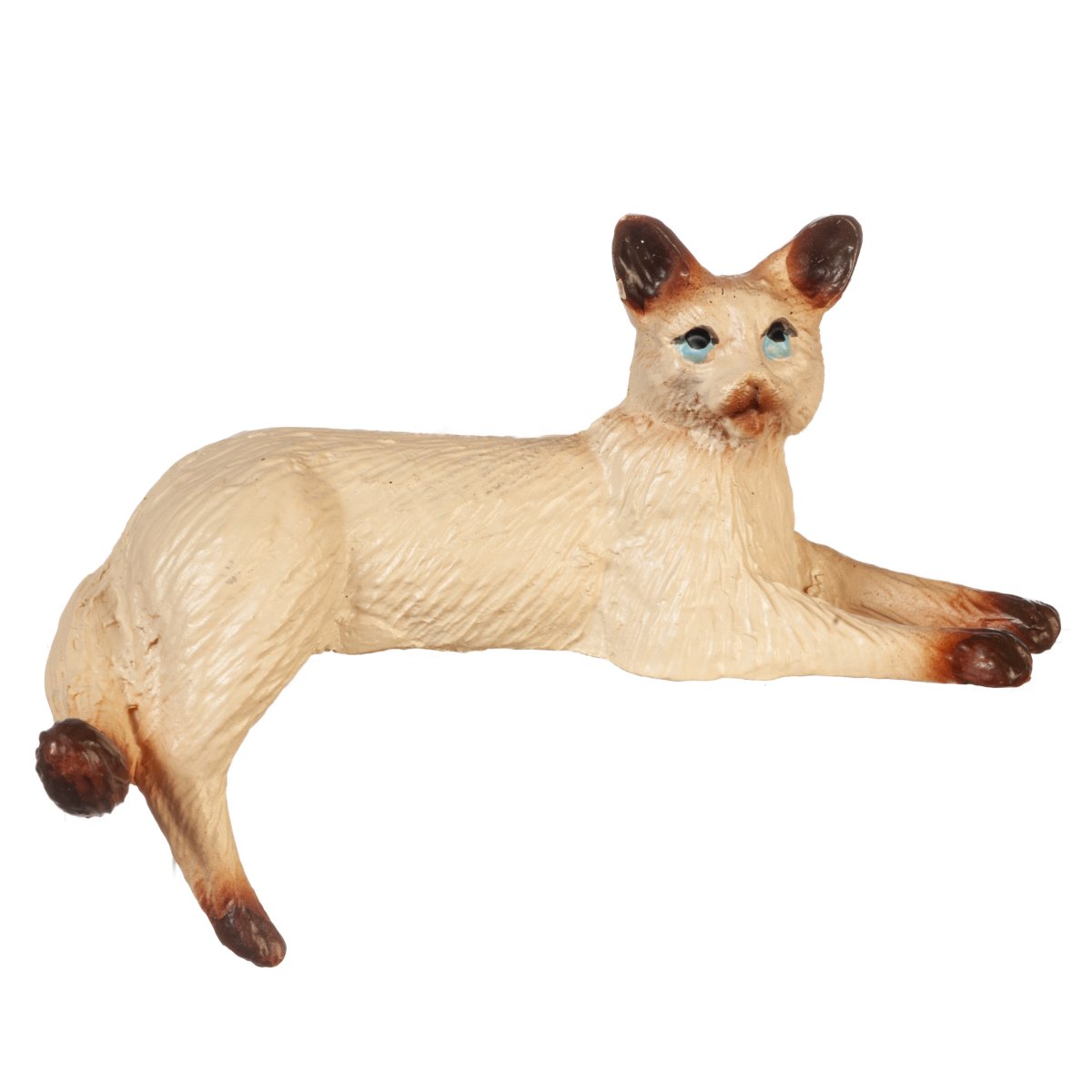 Cat, Siames,