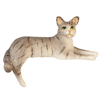 Katt grå