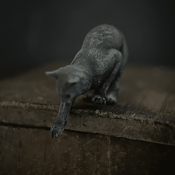 Cat  from Alison Davies