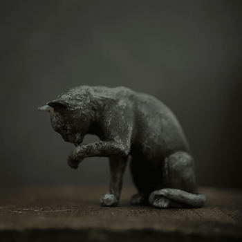 Cat  from Alison Davies
