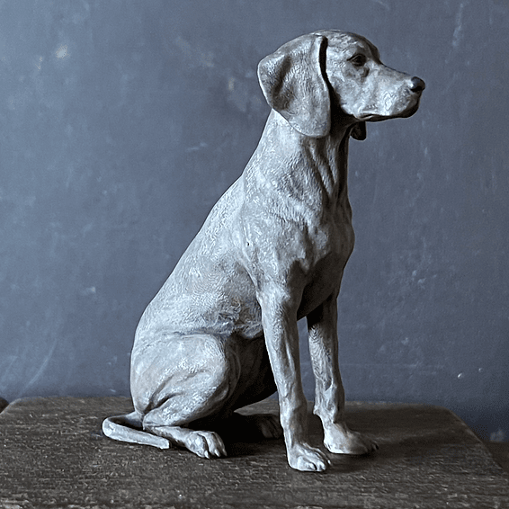 Hund  - från Alison Davies - 2