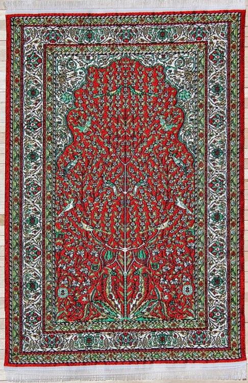Rug- birds