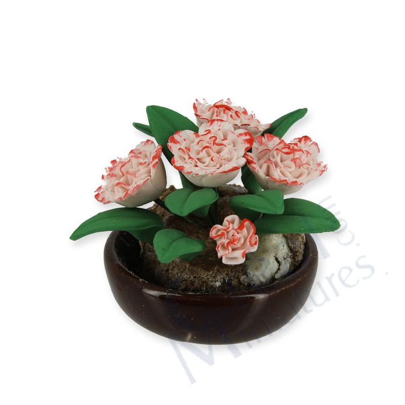 Rosa och vita blommor i kruka
