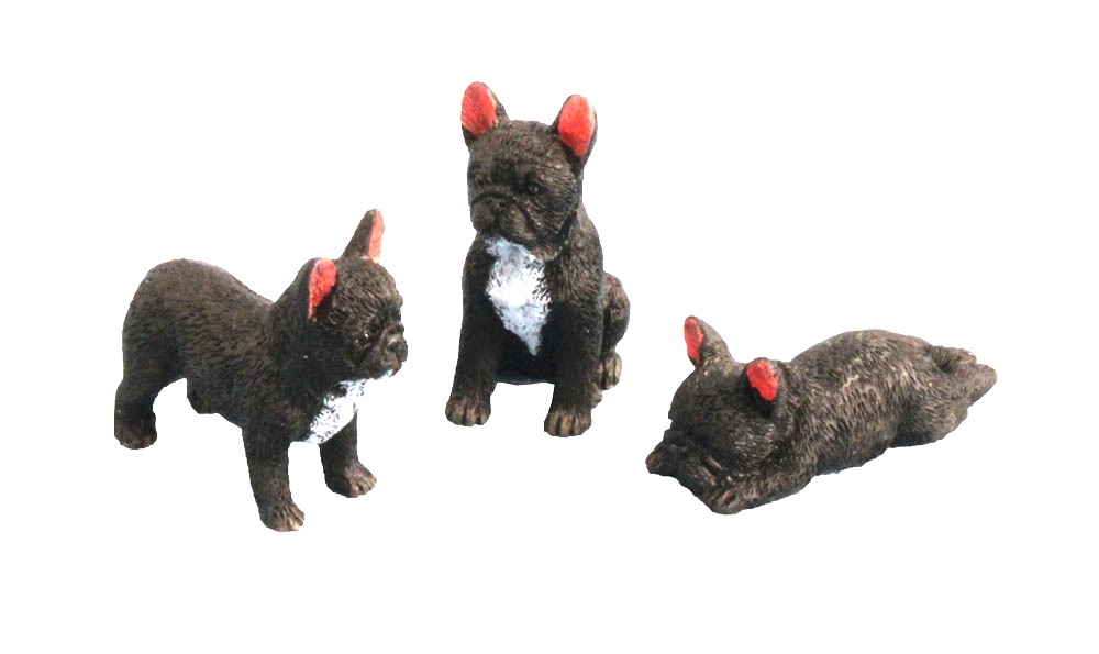 Hund, Fransk bulldog 3 st