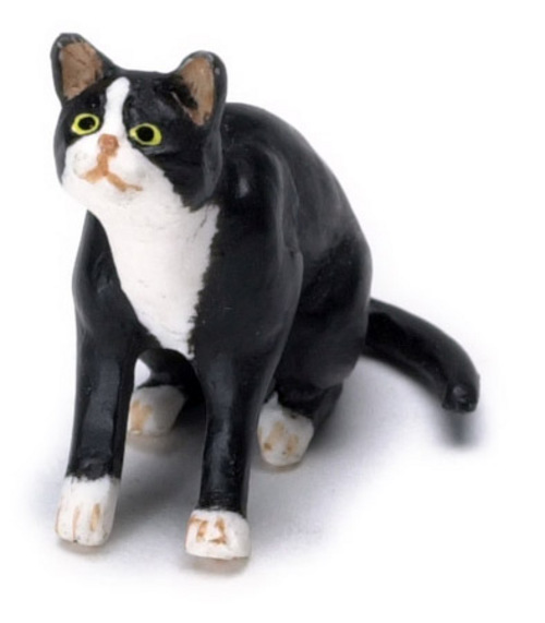 Cat, black, sitting