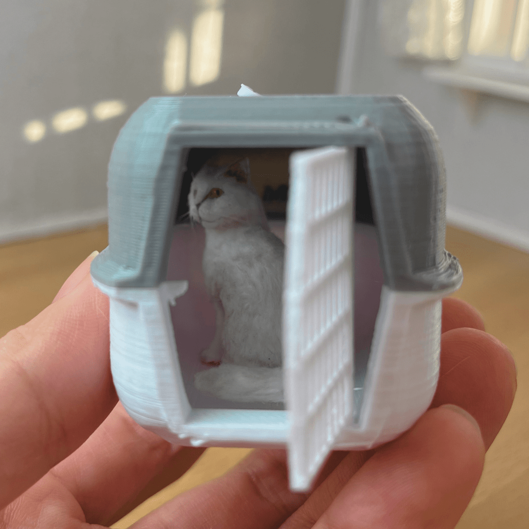 Cat carrier Red - Debbie Lennmark - 3
