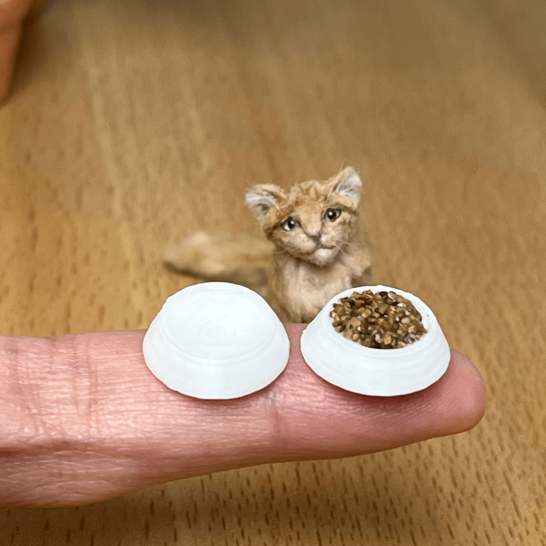 Water and food bowls - Debbie Lennmark