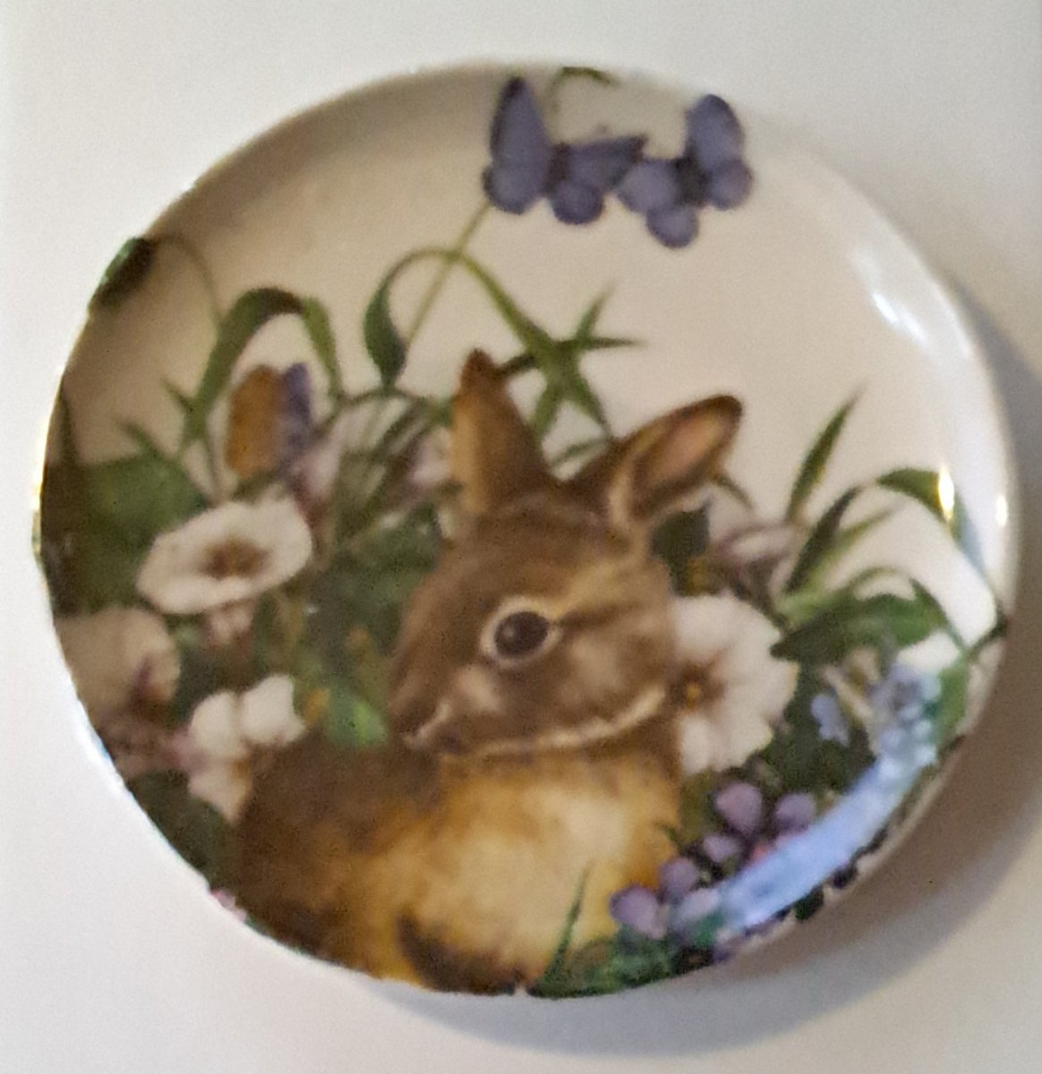 Plate porcelain rabbit