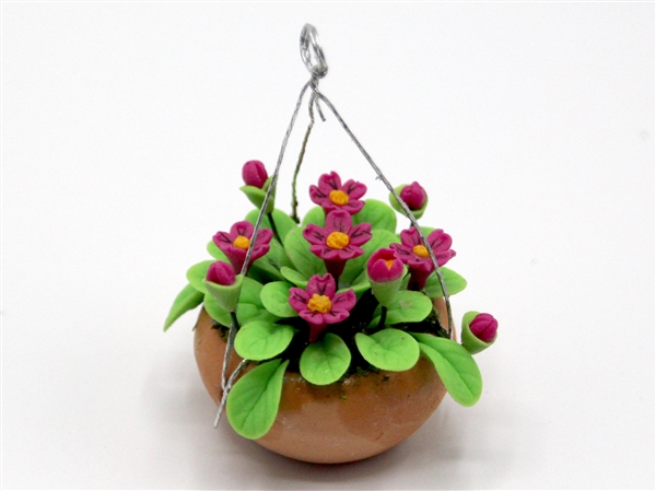 Flowers  in pot redhaningbasket