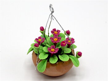 Flowers  in pot redhaningbasket