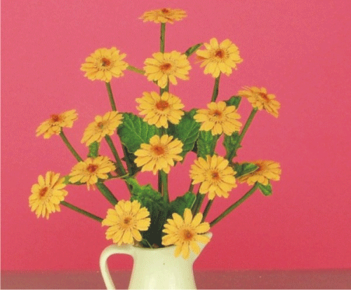 Gerbera, flower kit gold