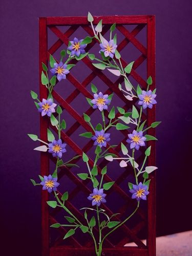 Klematis, blomkit, Lasustern