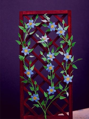 Clematis, flower kit, Perle d'azur