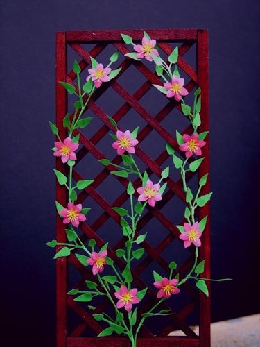 Clematis, flower kit, jacmani Rubra