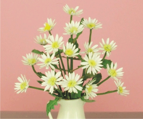 Vit tusensköna - blomkit