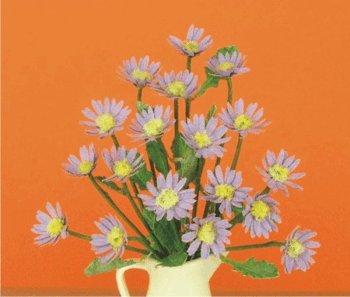 Daisy, flower kit Lilac