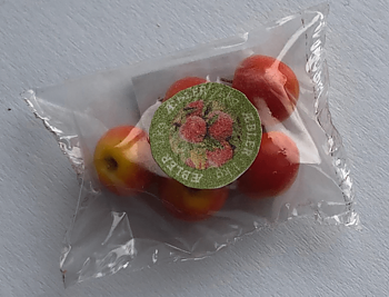 Red apples in plastic bag, -Charlotte Jagter handcraft