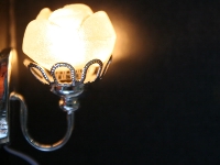 Vägglampa med hållare som en blomma, med sladd
