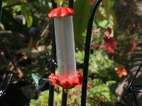 Birdfeeder