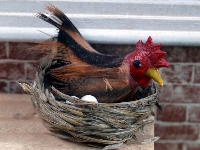 Hen in basket