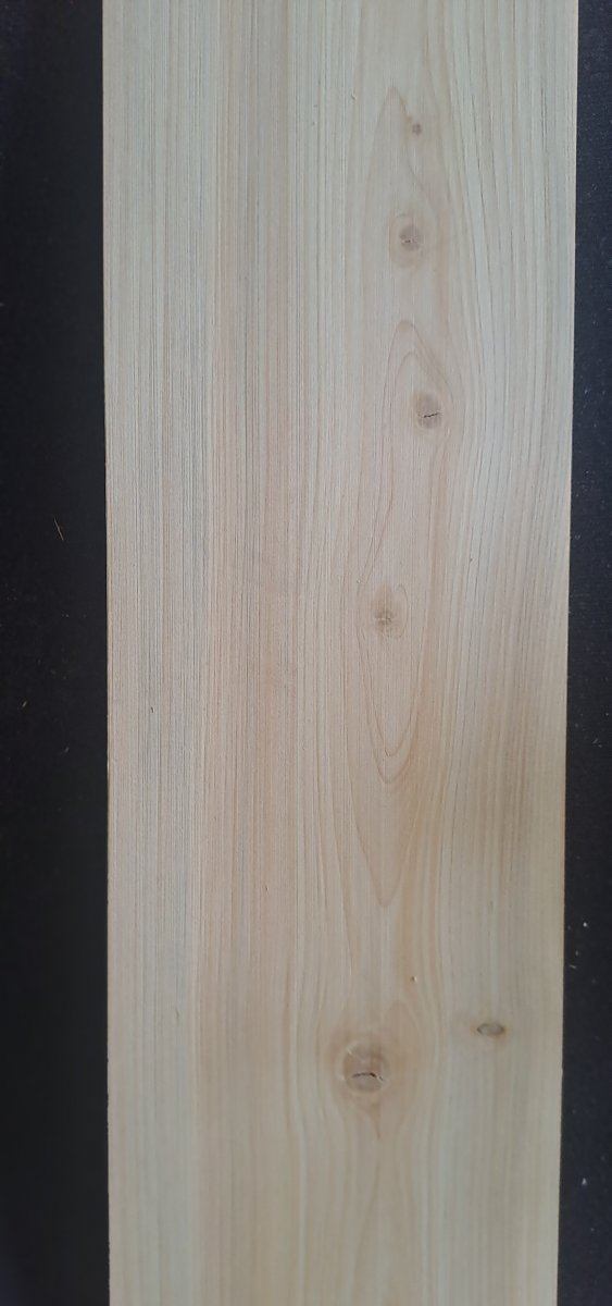 Juniper