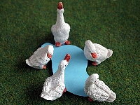 Geese, 6 pcs