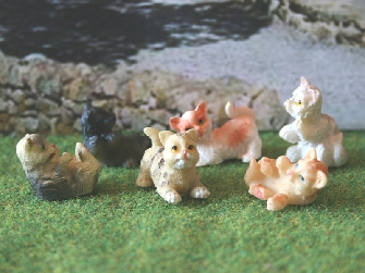 Kittens various color 1pcs