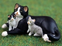 Cat with kittens
