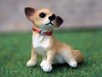 Chihahua 2,5 cm