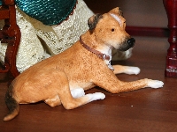Ridgeback 6 cm