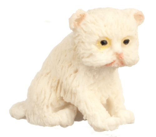Kitten