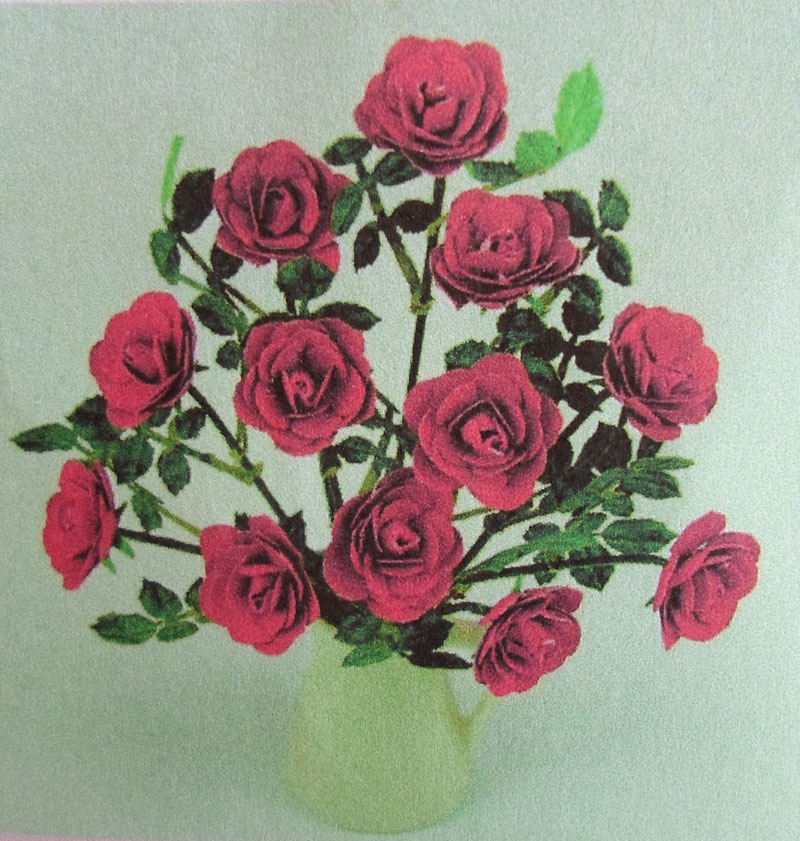 Röda rosor - blomkit