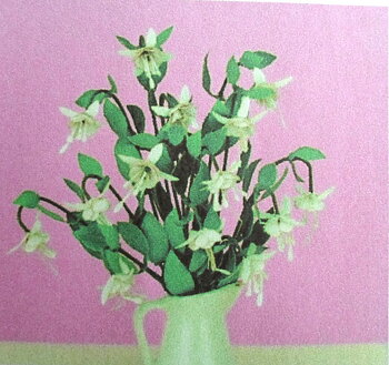 Fuchsia Annabel, flowerkit