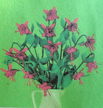 Daisy, flower kit Marinka