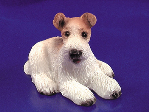 Dog, Foxterrier