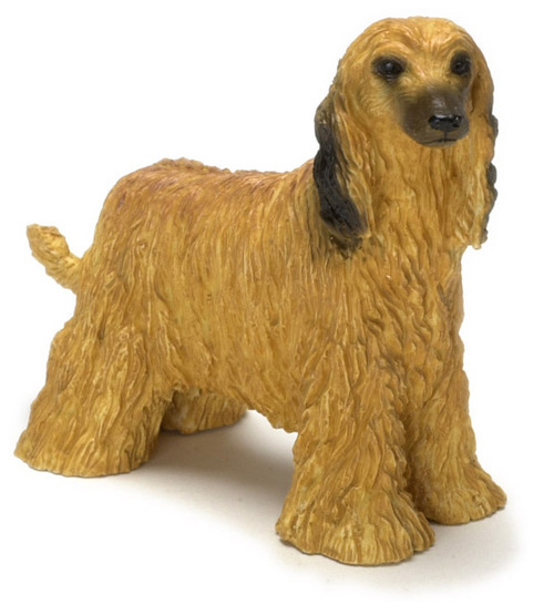 Dog, Afghan