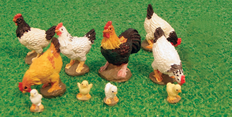 Hens and chickens