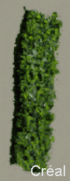 Girlang ca 50 cm