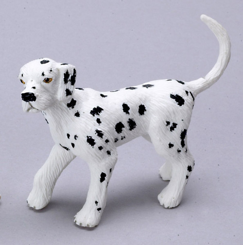 Dalmation Dog