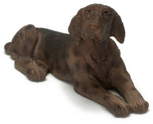 Pointer hund