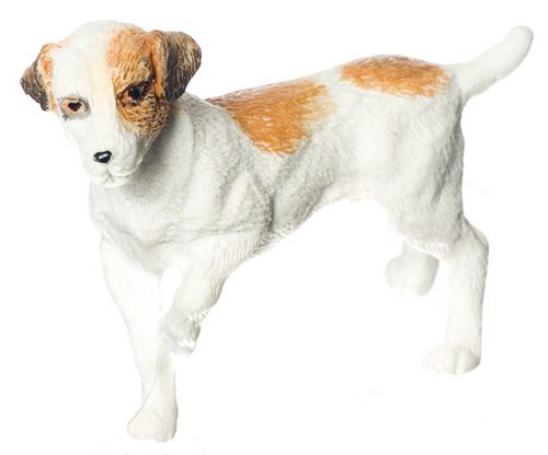 Jack Russell