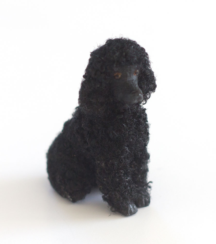 Poodle black